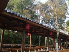 -金山公园