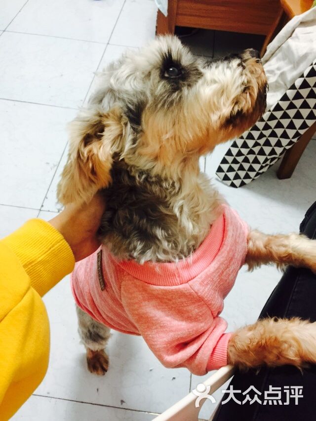 张三李四王二麻子小淘气!上传的图片