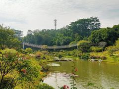 -东莞植物园
