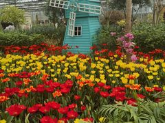 -南宫五洲植物乐园