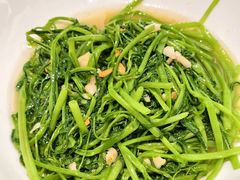 -吴记富苑(朝阳店)