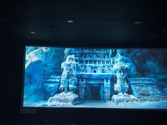 -华美影城(马栏广场店)