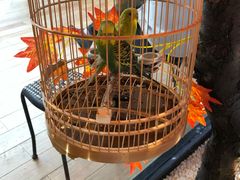 -老湘亲·品鉴湘菜(蔡塘爱琴海店)