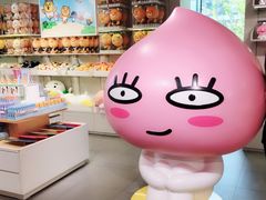 -KAKAO FRIENDS(弘大店)