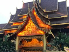 -西双版纳原始森林公园