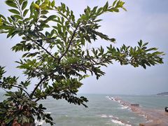 -青岛第二海水浴场