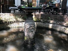 -Golden Lily河内巴黎法越料理餐厅(建国西路店)