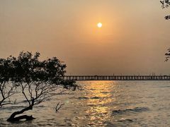 -宝安西湾红树林湿地公园