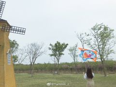 -上海海湾国家森林公园