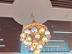 -马旭土鸡焖花卷新疆菜大盘鸡·真域顺西域美食(天马大道店)