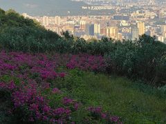 -广州市白云山风景名胜区