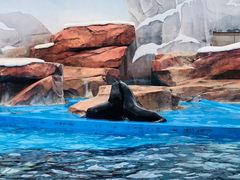 -上海海昌海洋公园