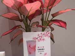 -鹿港小镇(黄金店)