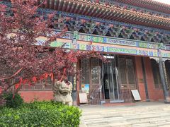 -大悲禅寺