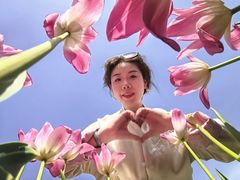 -金卉庄园