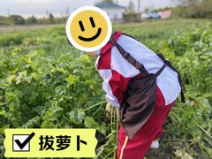 -菊园百果园