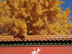 -故宫博物院(故宫)
