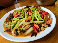 红烧野生三清小河鱼-菜当家