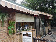 门面-柴犬高等学院·狗咖·柴犬售卖·宠物训练