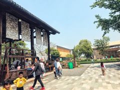 -田园东方蜜桃村的田野营地