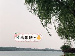 -丁香湖公园