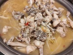 -美蛙四季(六里桥店)