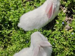 -黄公荡生态农庄·餐饮·垂钓·烧烤·土灶·团建基地