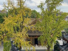 -上海东林寺(金山区)