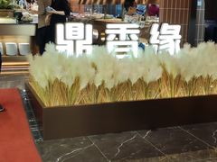 -鼎香缘海鲜自助火锅烤肉(锦辉购物广场店)