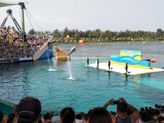 -秦皇岛乐岛海洋王国