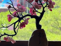 -鸟鹏烧鸟居酒屋(龙岗万科店)