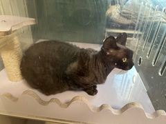 -墨more调香馆DIY自调香水(博雅国际中心B座店)