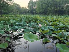 -长广溪湿地公园