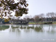 -上膳源有机农场