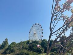 -观澜湖生态运动公社