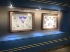 -上海昆虫博物馆