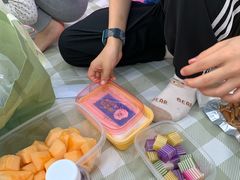 -东莞植物园