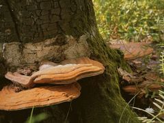 -松花湖风景名胜区