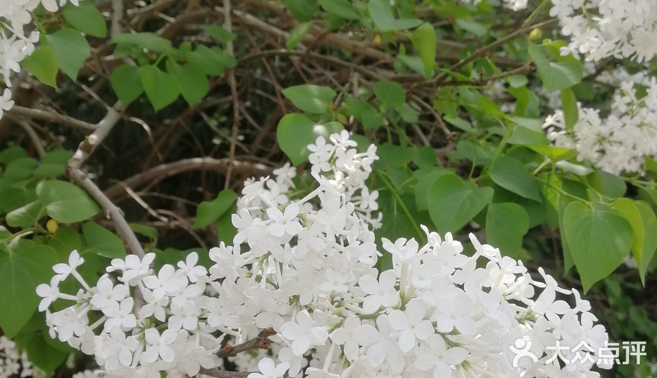 轻装上阵，去野外，去水边