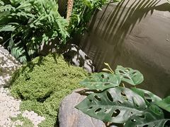 -施奈儿.洗头頭療.按摩SPA.采耳(上梅林店)