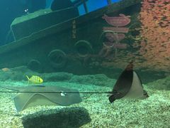 -福州罗源湾海洋世界旅游区