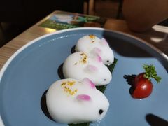 -探窝·竹笙椰子鸡(杨箕店)