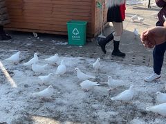 -天津妈祖文化园