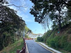 -黄埔油麻山森林公园
