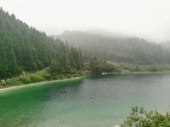 -武陵山森林公园