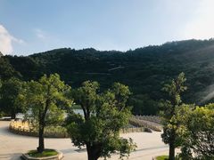-阳台山森林公园