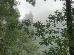 -塔云山