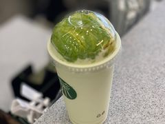 -茉酸奶(春熙路店)