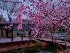 -三里河公园