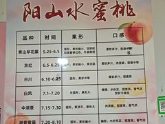 -老袁家蜜桃农场·阳山水蜜桃